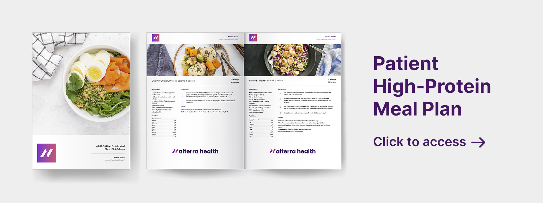 Mock-up of the Alterra Health Patient High-Protein Meal Plan for obesity medicine