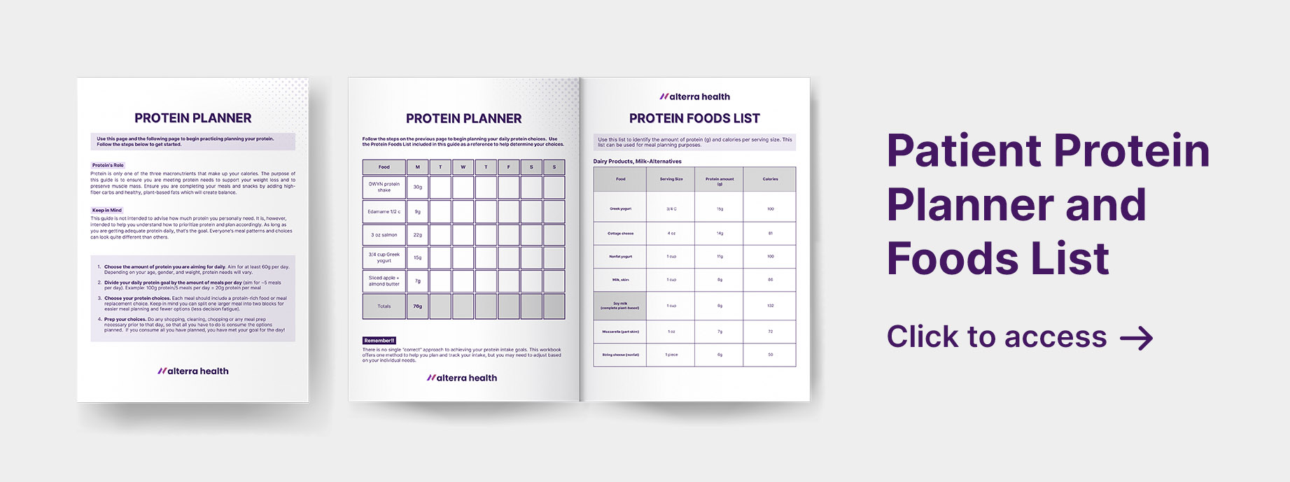 Mock-up of the Alterra Health Patient Protein Planner and Foods List for obesity medicine